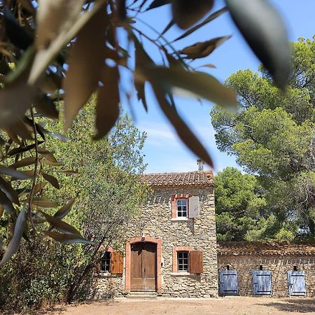 Mazet Du Chateau Joyeux De Violet Pépieux Εξωτερικό φωτογραφία