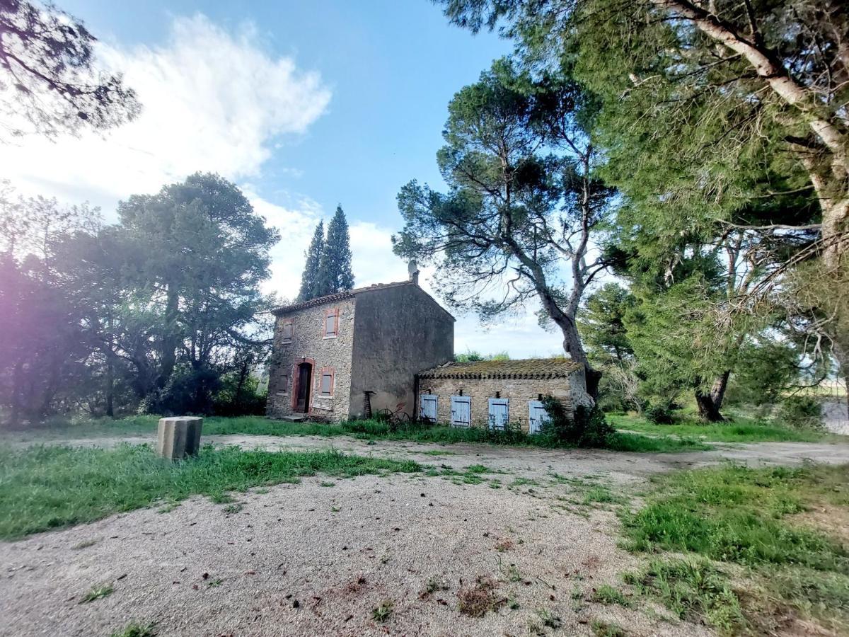 Mazet Du Chateau Joyeux De Violet Pépieux Εξωτερικό φωτογραφία