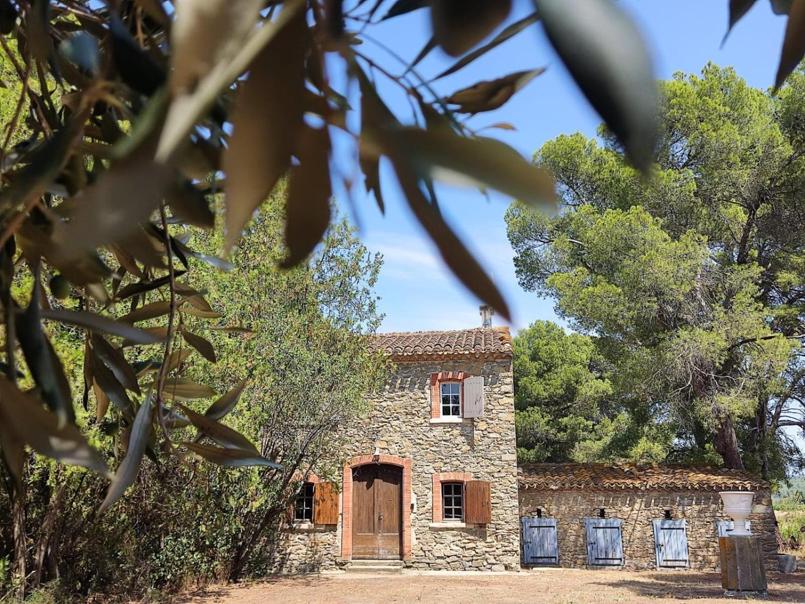 Mazet Du Chateau Joyeux De Violet Pépieux Εξωτερικό φωτογραφία
